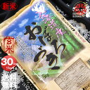 新米 令和3年産 北海道産 おぼろづき 玄米 30kg (5kg×6袋セット)＜玄米／白米／分づき米＞【送料無料】【北海道米 送料込み 米 お米 真空パック選択可】