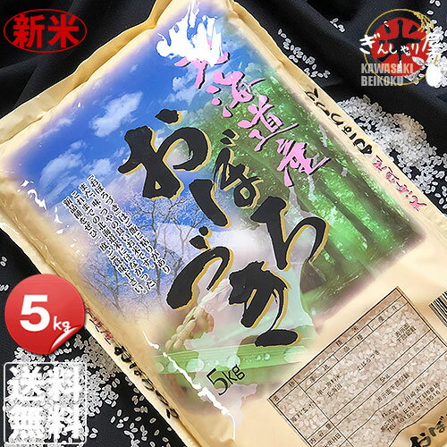 新米 令和元年産 北海道産 おぼろづき 5kg ＜白米＞【送料無料】【北海道米 送料...