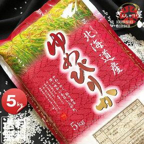 令和5年産 北海道産 ゆめぴりか 5kg 【送料無料】【北海道米 送料込み 米 お米 真空パック選択可】