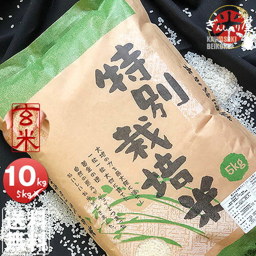 令和5年産 特別栽培米 北海道産なな