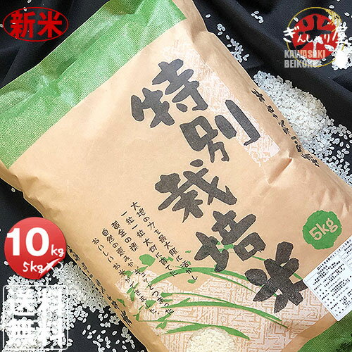 新米 令和2年産 特別栽培米 北海道産ななつぼし 10kg (5kg×2袋セット) ＜白米＞ 【送料無料】【北海道米 送料込み 米 お米 真空パック選択可】