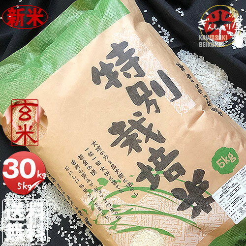 新米 令和2年産 特別栽培米 北海道産ななつぼし 玄米 30kg (5kg×6袋セット) ＜玄米／白米／分づき米＞ 【送料無料】【北海道米 送料込み 米 お米 真空パック選択可】