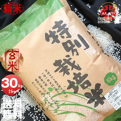 新米 令和2年産 特別栽培米 北海道産ななつぼし 玄米 30kg (5kg×6袋セッ...