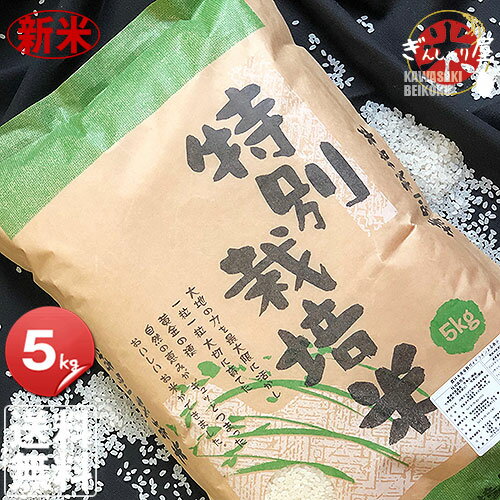 新米 令和2年産 特別栽培米 北海道産ななつぼし 5kg ＜白米＞ 【送料無料】【北...