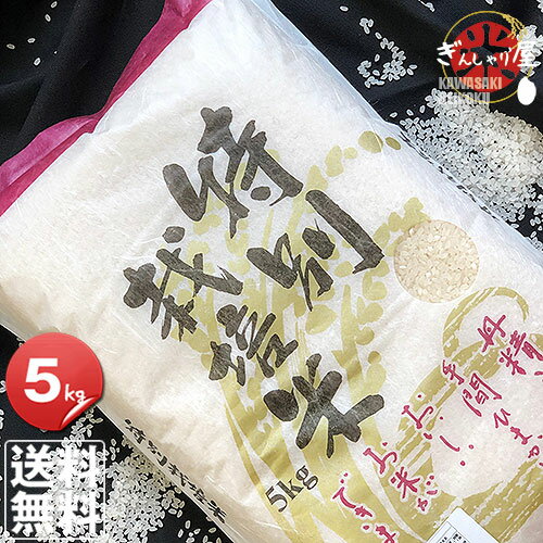 令和3年産 北海道産 特別栽培米 ゆめぴりか 5kg ＜白米＞ 【送料無料】【北海道米 送料込み 米 お米 真空パック選択可】