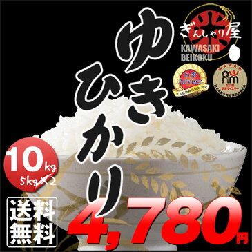 新米 30年産 北海道産 ゆきひかり 10kg (5kg×2袋セット)＜白米＞ 【送料無料】【北海道米 送料込み 米 お米 真空パック選択可】