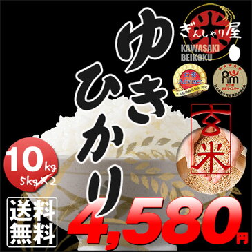 新米 30年産 北海道産 ゆきひかり 玄米 10kg (5kg×2袋セット)＜玄米／白米／分づき米＞ 【送料無料】【北海道米 送料込み 米 お米 真空パック選択可】