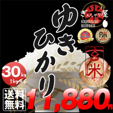 新米 30年産 北海道産 ゆきひかり 玄米 30kg (5kg×6袋セット)＜玄米／白米／分づき米＞ 【送料無料】【北海道米 送料込み 米 お米 真空パック選択可】