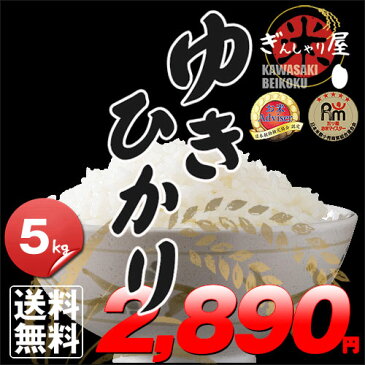 新米 30年産 北海道産 ゆきひかり 5kg ＜白米＞ 【送料無料】【北海道米 送料込み 米 お米 真空パック選択可】