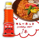  ハウス カレーホット 270g×1本 ※北海道・九州・沖縄県は送料無料対象外 CURRY HOT スパイス ハウス食品 カレー調味料 業務用 辛口 