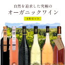 【6本セット送料無料】自然を追求した究極のオーガニックワイン6本セット（750ml×6本）＜ワインセット＞自然派ワイン オーガニックワイン [T.9373.0.SE]