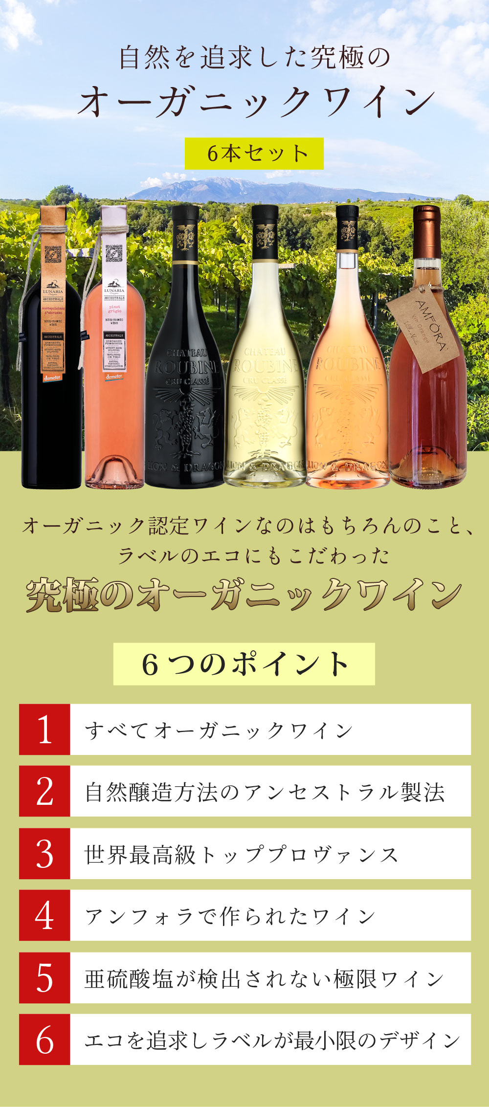 ��6�ܥ��å�����̵���ۼ������ɵᤷ����ˤΥ������˥å��磻��6�ܥ��åȡ�750ml��6�ܡˡ�磻�󥻥åȡ伫���ɥ磻�� �������˥å��磻�� [T.9373.0.SE]