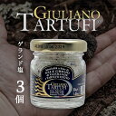 ジュリアーノ トリュフサマートリュフゲランド塩30g×3個セット＜瓶詰食品＞※北海道・九州・沖縄県は送料無料対象外GIULIANO TARTUFI トリュフ塩