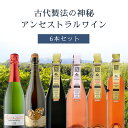 【6本セット送料無料】古代製法の神秘アンセストラルワイン 6本セット750ml×6本<ワインセット> 辛口ワイン 自然派ワイン ナチュール [T.5635.0....