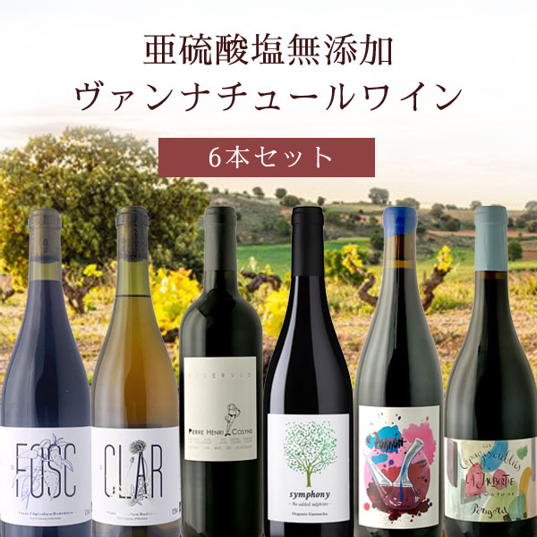 【6本セット送料無料】亜硫酸塩無添加ヴァンナチュールワイン 6本セット750ml×6本＜ワインセット＞ 辛口ワイン [T.6352.0.SE]