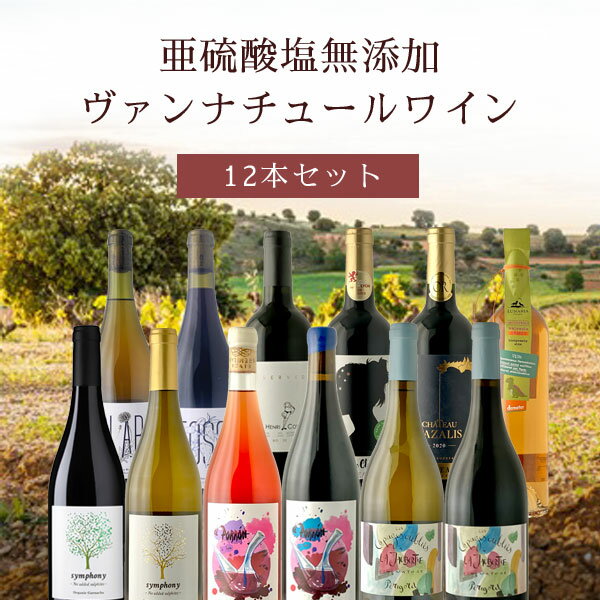 亜硫酸塩無添加ヴァンナチュールワイン 12本セット750ml×12本＜ワインセット＞ 辛口ワイン 自然派ワイン