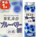 【送料無料】 合同酒精 果実の楽園 ブルーベリー酒 1000ml×1本 ※北海道・九州・沖縄県は送料無料対象外 果実酒 [T.1703.0.SE]