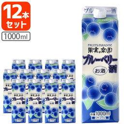 【12本セット送料無料】 合同酒精 果実の楽園 ブルーベリー酒 1000ml×12本 [2ケース]※沖縄県は送料無料対象外 果実酒 [T.1703.0.SE]