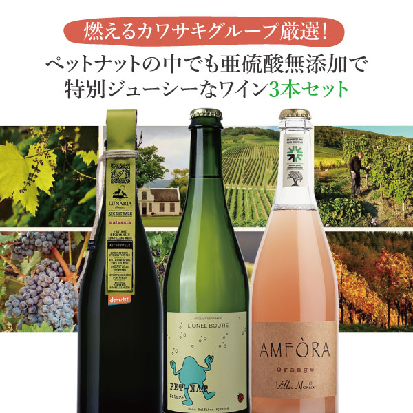 【3本セット送料無料】燃えるカワサキグループ厳選!ペットナットの中でも亜硫酸無添加で特別ジューシーなワイン3本セット750ml×3本※沖縄県は送料無料対象外<ワ...