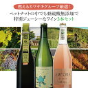 【3本セット送料無料】燃えるカワサキグループ厳選!ペットナットの中でも亜硫酸無添加で特別ジューシーなワイン3本セット750ml×3本※沖縄県は送料無料対象外<ワ...