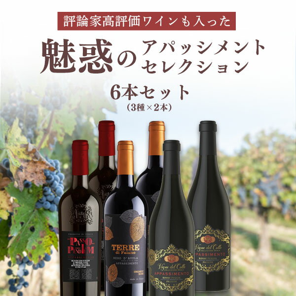 【6本セット送料無料】評論家高評価ワインも入った魅惑のアパッシメントセレクション750ml×6本（3種×2本） ＜ワインセット＞※北海道・九州・沖縄県は送料無料対象外 赤ワイン 辛口ワイン[T.3312.0.SE]