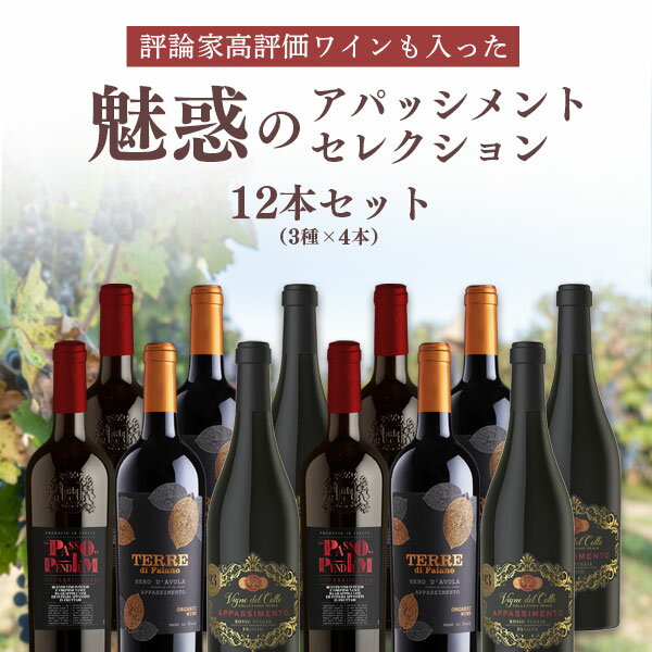 【12本セット送料無料】評論家高評価ワインも入った魅惑のアパッシメントセレクション750ml×12本（3種×4本） ＜ワインセット＞※北海道・九州・沖縄県は送料無料対象外 赤ワイン 辛口ワイン[T.3312.0.SE]