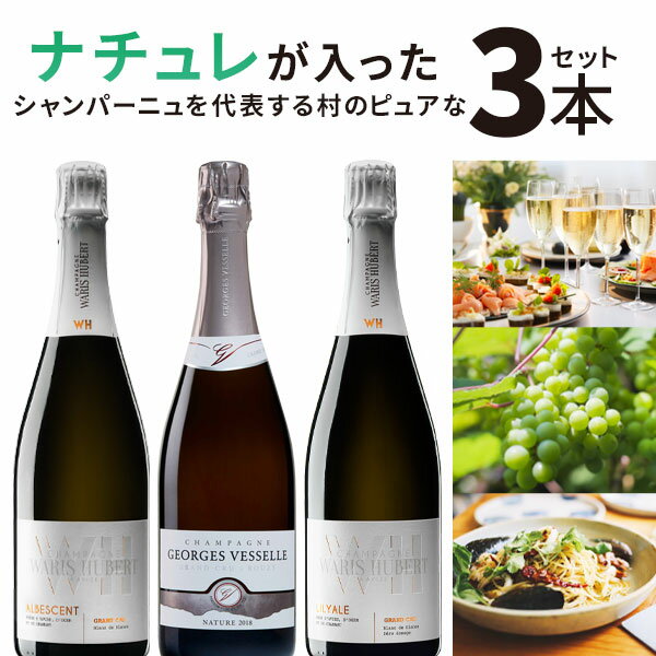 【3本セット送料無料】ナチュレが入ったシャンパーニュを代表する村のピュアな3本セット※北海道・九州・沖縄県は送料無料対象外ワインセット シャンパーニュ フランス