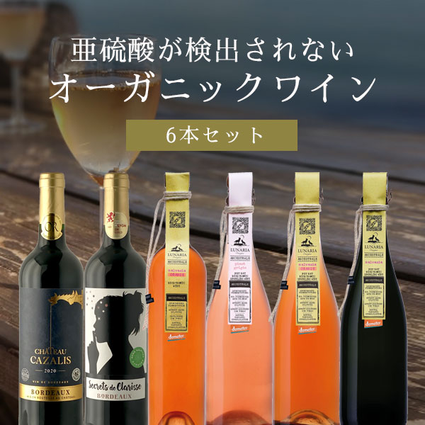 【6本セット送料無料】亜硫酸塩が検出されないオーガニックワイン 6本セット750ml×6本＜ワインセット＞ 辛口ワイン 自然派ワイン [T.5797.0.SE]