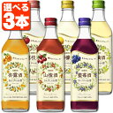 永昌源 林檎酒 1.8L 1800ml 送料無料(沖縄対象外)[キリン 日本 埼玉 リキュール]