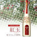 【送料無料】 タムラシードル 紅玉 500ml×1本 ※北海道 九州 沖縄県は送料無料対象外 田村シードル タムラ シードル りんご酒 シードルスパークリング アップル T.001.2203.1.SE