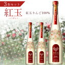 【3本セット送料無料】タムラシードル 紅玉 500ml×3本 ※北海道 九州 沖縄県は送料無料対象外田村シードル タムラ シードル りんご酒 シードルスパークリング アップル T.001.2203.1.SE