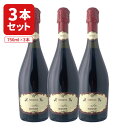 【3本セット送料無料】 ファンタジア ランブルスコ ロッソ 750ml×3本 ※北海道・九州・沖縄県は送料無料対象外 スパークリング 泡 イタリア 微発泡 やや甘口[T.1864.-.SE]