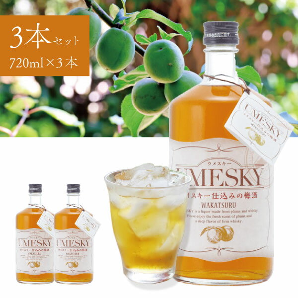 【3本セット送料無料】 若鶴酒造 UMESKY（ウメスキー）24度 720ml×3本 ※沖縄県は送料無料対象外 UMESKY 国産ウイスキー 地ウイスキー ..