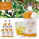 【1ケース6本セット送料無料】 若鶴酒造 UMESKY（ウメスキー）24度 720ml×6本 UMESKY 国産ウイスキー 地ウイスキー 梅酒 [T.2665.1.SE]