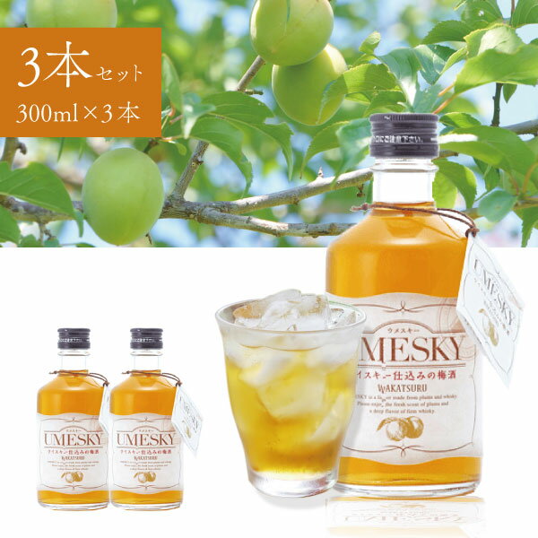 楽天燃えるカワサキグループ【3本セット送料無料】 若鶴酒造 UMESKY（ウメスキー）24度 300ml×3本 ※北海道・九州・沖縄県は送料無料対象外 UMESKY 国産ウイスキー 地ウイスキー 梅酒 [T.1868.1.SE]