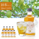 【1ケース10本セット送料無料】 若鶴酒造 UMESKY(ウメスキー)24度 300ml×10本 ※沖縄県は送料無料対象外 UMESKY 国産ウイスキー 地ウイ...
