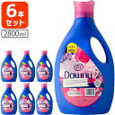 【6本セット送料無料】 ダウニー メキシコ アロマフローラル 2800ml(2.8L)ボトル×6本 1ケース ＜柔軟剤＞※沖縄県は送料無料対象外 メキシコダウニー T.2194.-.SE