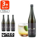 【3本セット送料無料】n.e.o ジンジャー梅酒 720ml×3本※沖縄県は送料無料対象外<瓶リキュール>ネオジンジャー梅酒 梅酒 ジンジャー 生姜 [T.24...