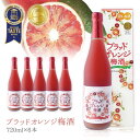 楽天燃えるカワサキグループ【6本セット送料無料】 名門サカイ ブラッドオレンジ梅酒 720ml6本 梅酒 [T.2664.SE]