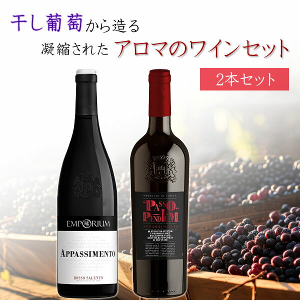 【2本セット送料無料】干し葡萄から造る 凝縮されたアロマのワインセット750ml×2本 ＜ワインセット＞※北海道・九州・沖縄県は送料無料対象外 赤ワイン 辛口ワイン[T.2432.0.SE]