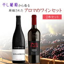 【2本セット送料無料】干し葡萄から造る 凝縮されたアロマのワインセット750ml×2本 <ワインセット>※北海道・九州・沖縄県は送料無料対象外 赤ワイン 辛口ワ...