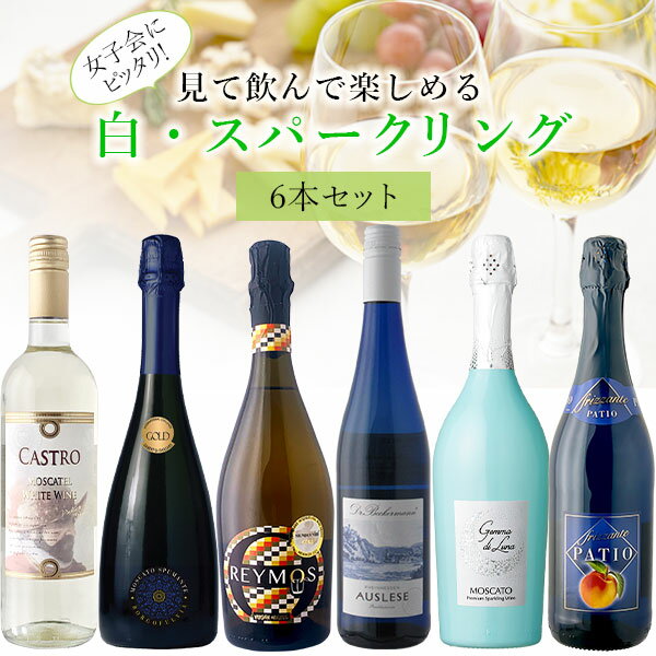 【6本セット送料無料】女子会にもピッタリ！見て飲んで楽しめる甘口6本セット750ml×6本＜ワインセット＞※沖縄県は送料無料対象外白ワイン スパークリング [T.4801.0.SE]