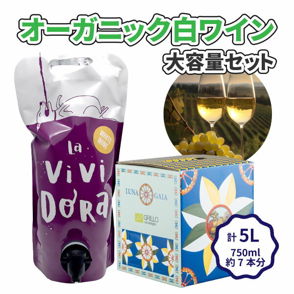 【2本セット送料無料】パーティー向け！大容量でもこだわりのオーガニック白ワインセット2L×1袋・3L×1本＜ワインセット＞※沖縄県は送料無料対象外 白ワイン 辛口ワイン パウチワイン[T.4582.0.SE]