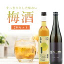 【2本セット送料無料】すっきりとした味わいの梅酒セット天狗舞 梅酒 500ml×1本、n.e.o ジンジャー梅酒 720ml×1本※沖縄県は送料無料対象外<瓶リ...