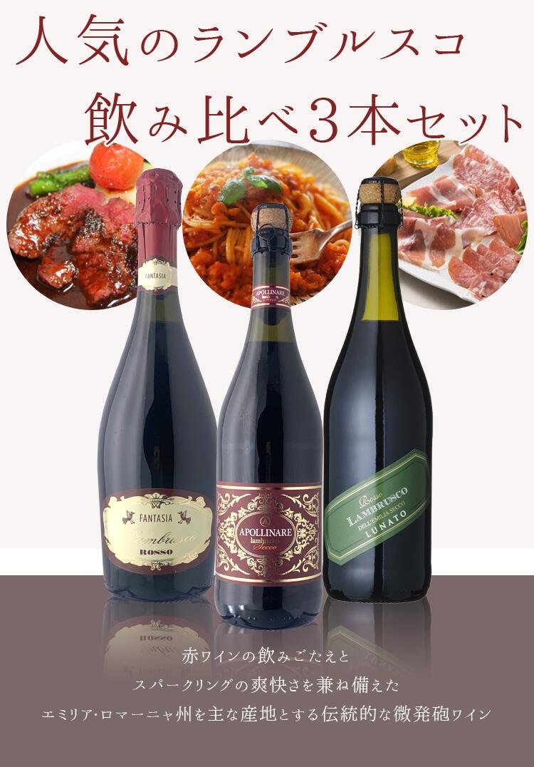 【3本セット送料無料】人気のランブルスコ飲み比べ3本セット （750ml×3本）＜ワインセット＞※北海道・九州・沖縄県は送料無料対象外スパークリングワイン ワインセット[T.2687.-.SE]