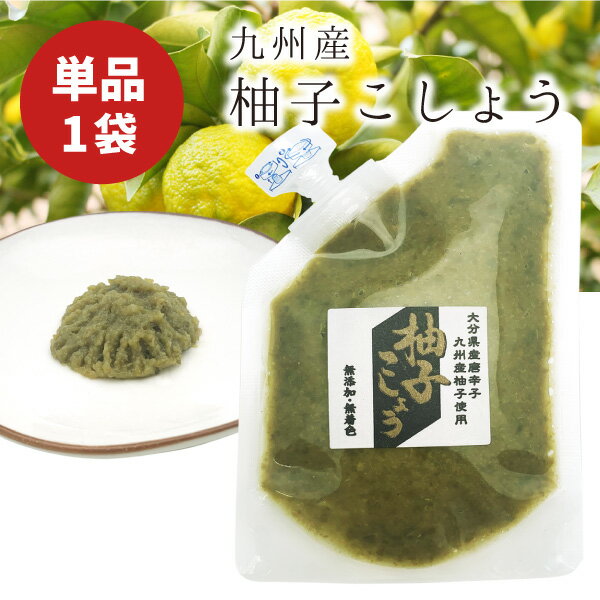 【メール便で送料無料（2cm)】 大分県産 柚子胡椒 パウチタイプ 80g×1個 ＜食品・調味料＞ ※メール便配送柚子胡椒 ゆずこしょう[T.1494.-.SE]