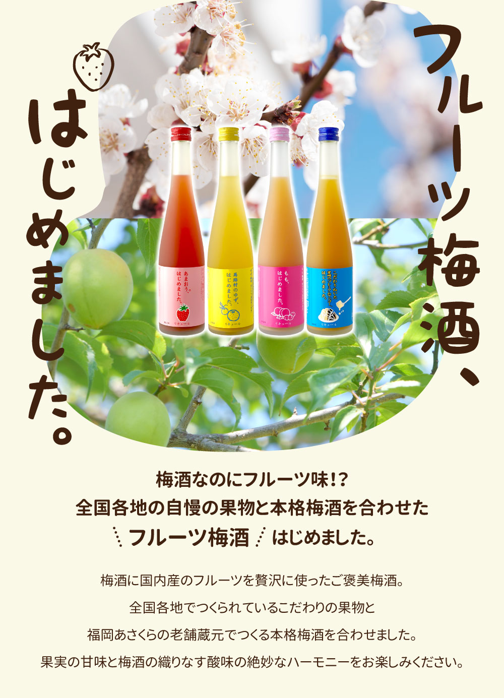 【送料無料】 篠崎 もも梅酒 もも、はじめまし...の紹介画像3