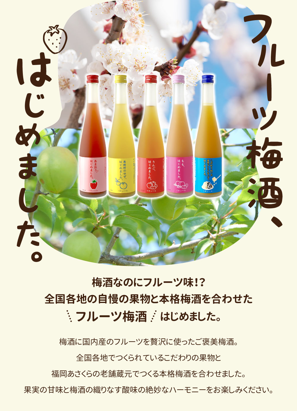 【送料無料】 篠崎 もも梅酒 もも、はじめまし...の紹介画像3