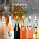 【6本セット送料無料】すべてが亜硫酸無添加の泡ナチュール6本セット　750ml×6本＜ワインセット＞ 辛口ワイン 自然派ワイン ペティアン オーガニック オレンジワイン [T.5797.0.SE]