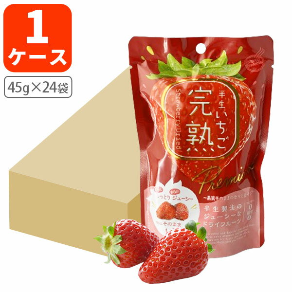 【1ケース(24袋)送料無料】ドウシシャ 完熟半生いちご45g×24袋[1ケース]※沖縄県は送料無料対象外お菓子 おやつ ドライフルーツ 苺 [T.1464.-.SE]